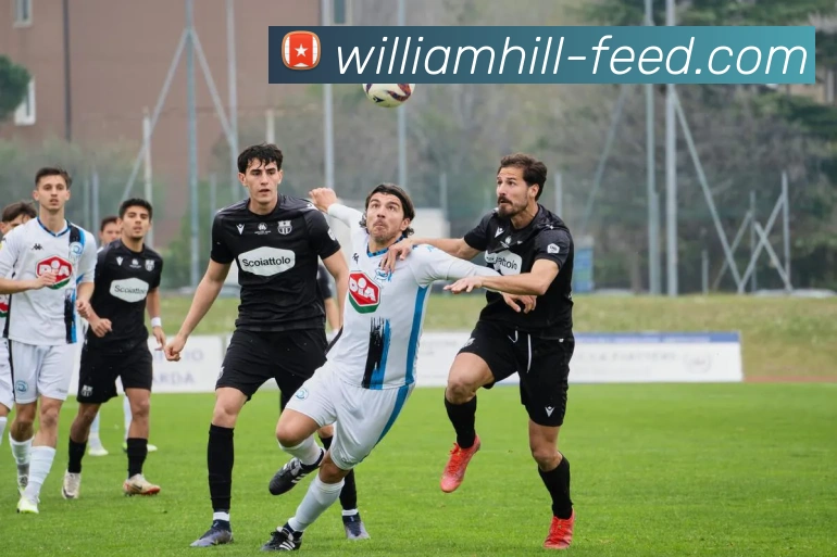 App Interface Preview